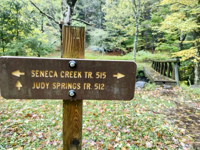 Judy Springs Campground 3