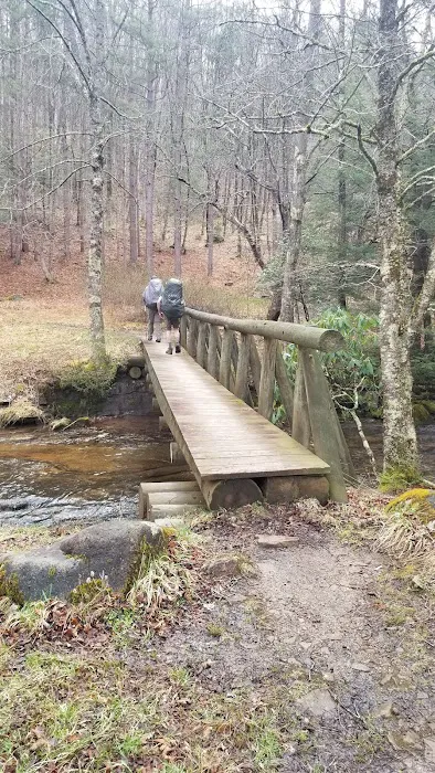 Judy Springs Campground 2