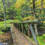 Judy Springs Campground