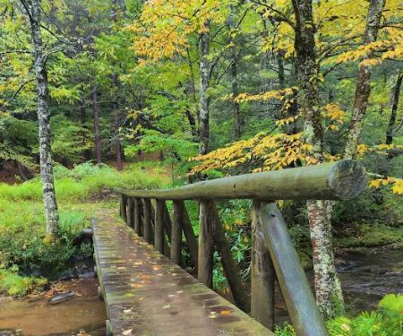 Judy Springs Campground