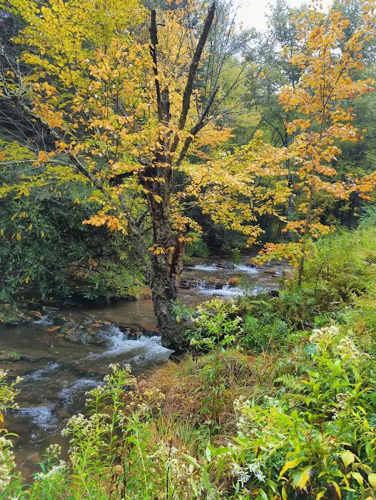 Judy Springs Campground 4
