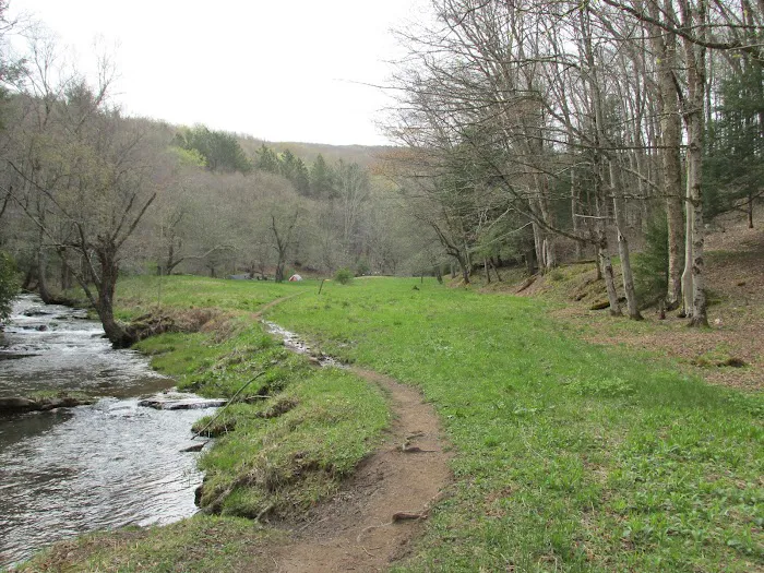 Judy Springs Campground 8