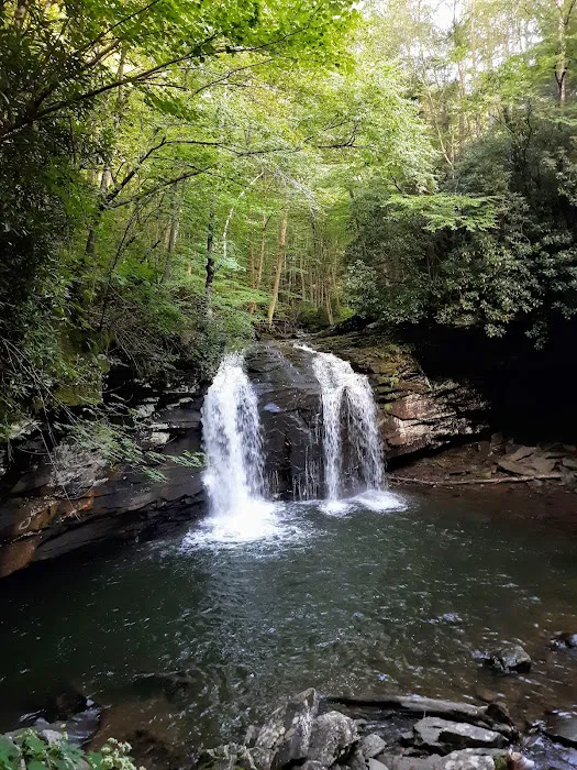 Judy Springs Campground 6