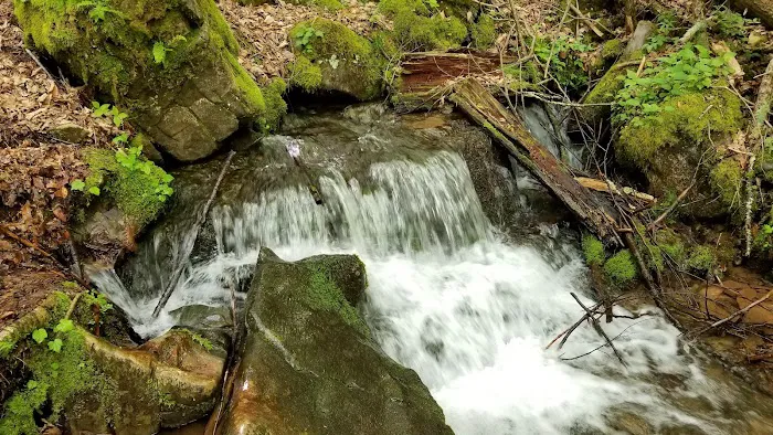 Judy Springs Campground 10