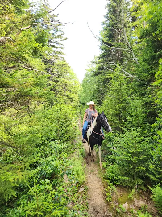 Wrangler Meadow Horse Camp 5