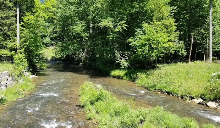 Czar Haus Cabins and RV Sites 5