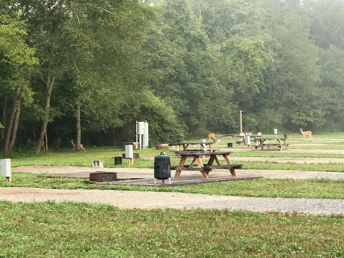 Hollybrook Farm Campground 6