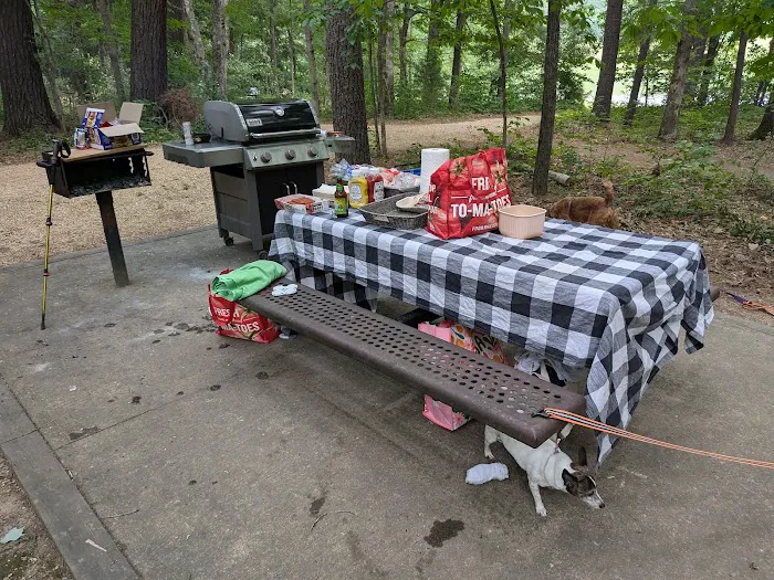 Todd Lake Recreation Area Campground 2