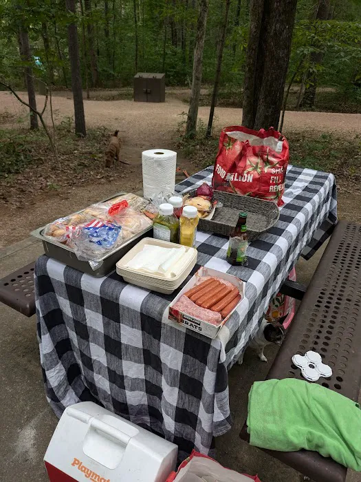 Todd Lake Recreation Area Campground 3