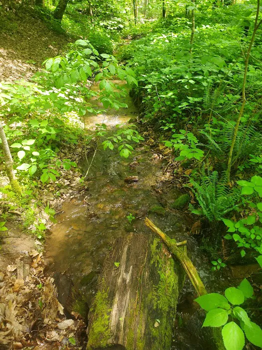 Todd Lake Recreation Area Campground 5