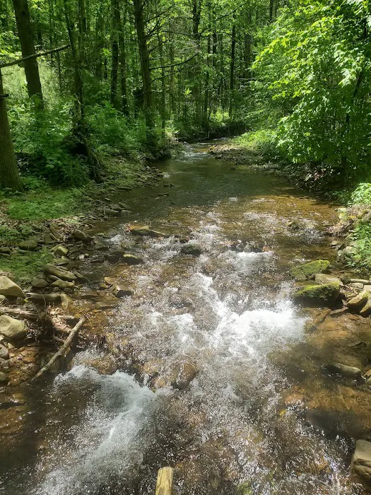 Todd Lake Recreation Area Campground 6