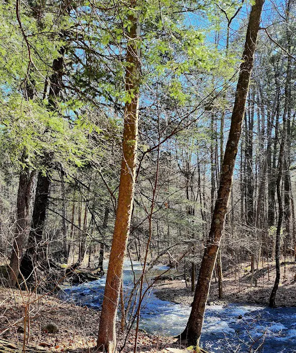 Hone Quarry Campground 4