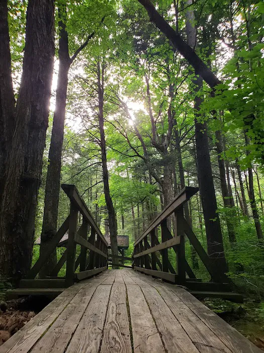 Hone Quarry Campground 8