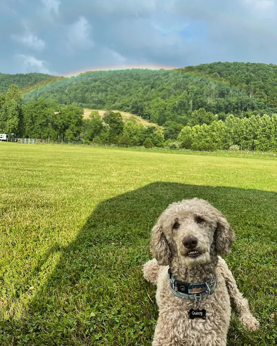 Smalltown Campsites, LLC 7
