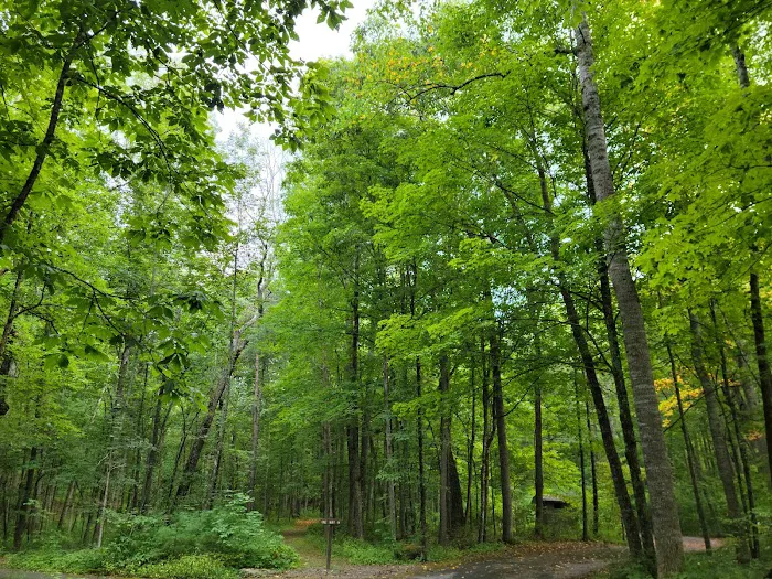 Brandywine Lake Campground 8