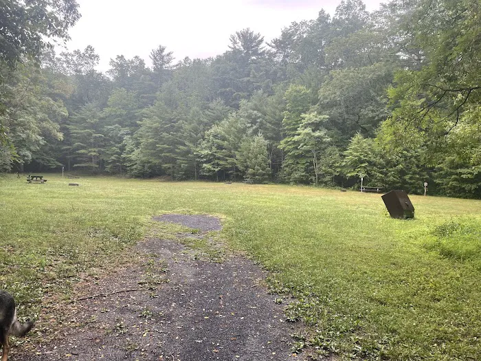 Brandywine Lake Campground 9