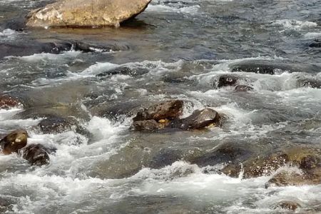 Big Rock Campground