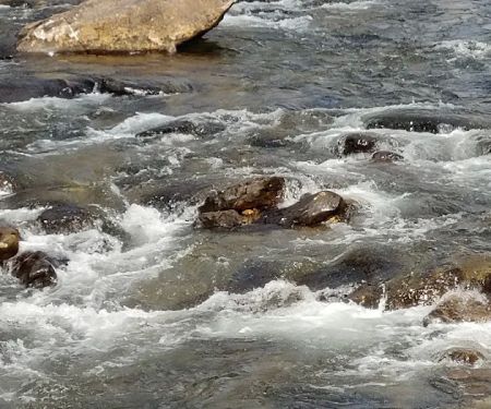 Big Rock Campground