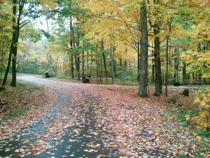 Summit Lake Campground 9
