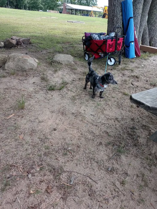 Lake Chesdin Campground 9