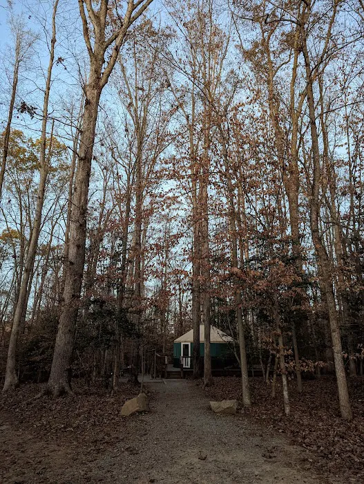 Campground 5