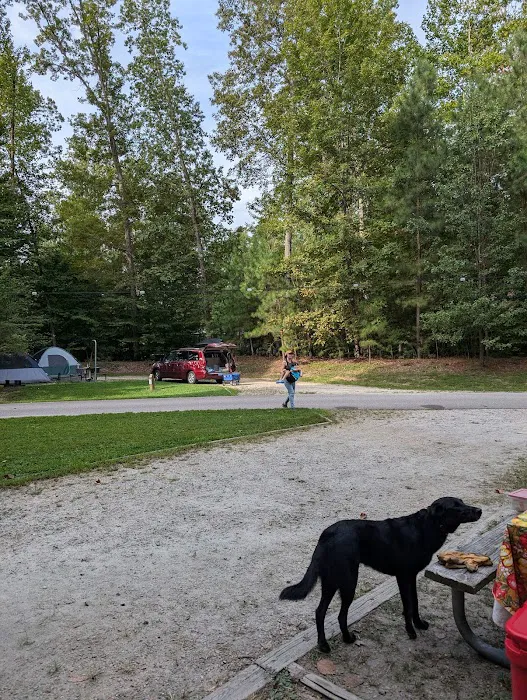 Campground 9