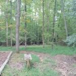 Pocahontas State Park Entrance