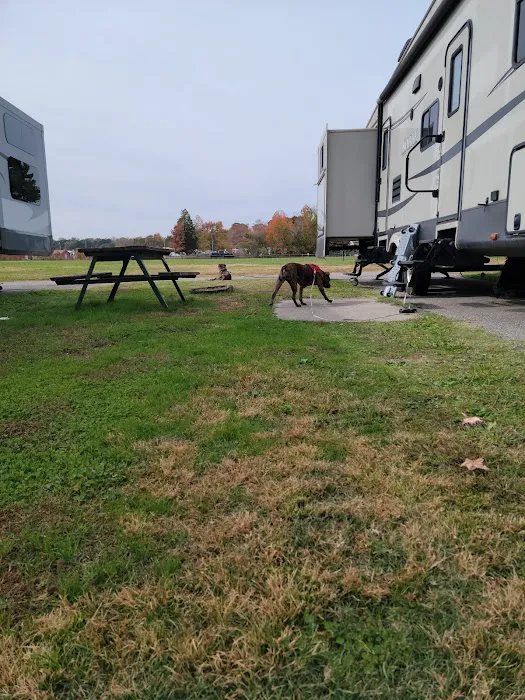Chesapeake Campground 5