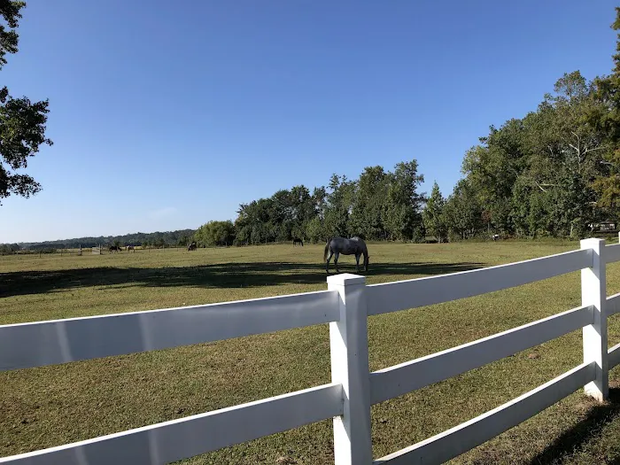 Chesapeake Campground 6