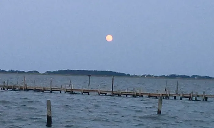 Bells Island Campground 4