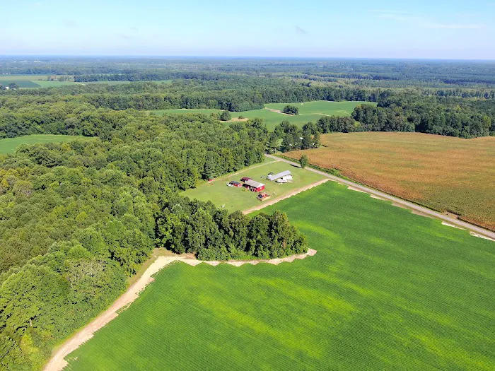 Thornton Farm 8