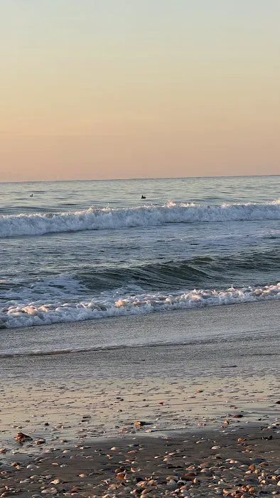 South Core Banks Beach Campground 4