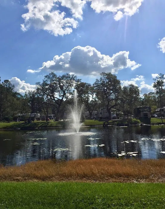Timberlane RV Park & Resort 4