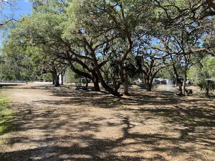 Timberlane RV Park & Resort 5