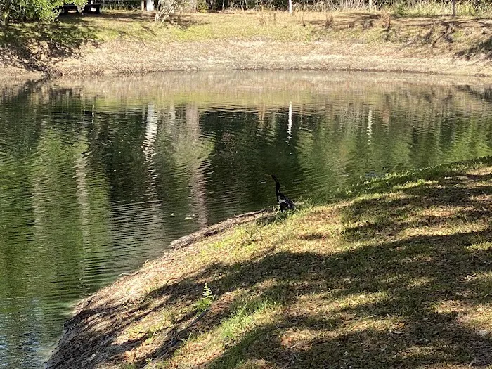 Timberlane RV Park & Resort 7