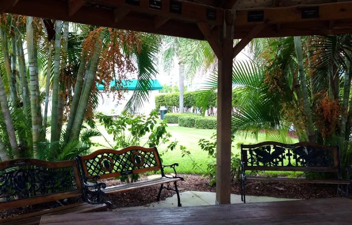 Bradenton Tropical Palms 3