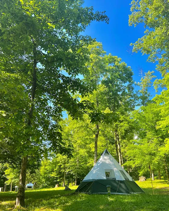 Mountain Lake Campground and Cabins 5