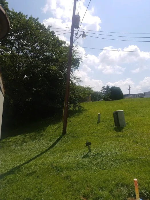 Pine Trailer Park 3