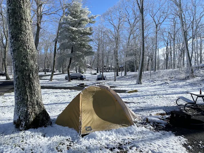Lewis Mountain Campground 6