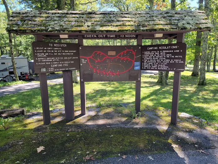 Lewis Mountain Campground 8