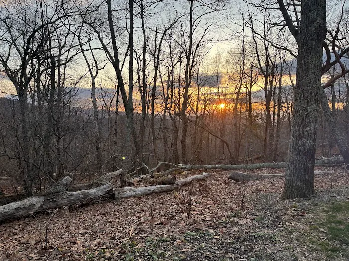 Lewis Mountain Campground 9