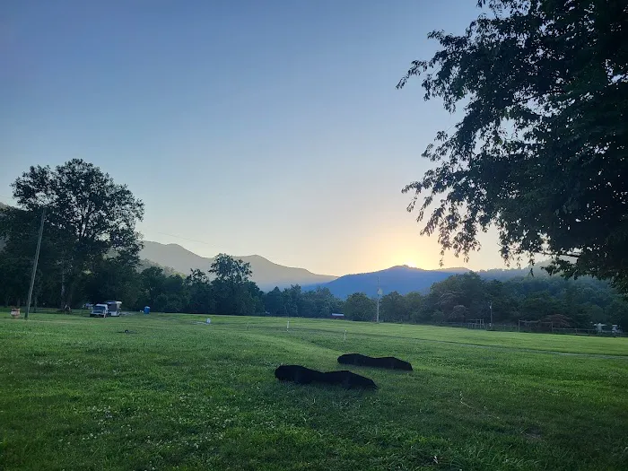Graves Mountain Farm Campground 2