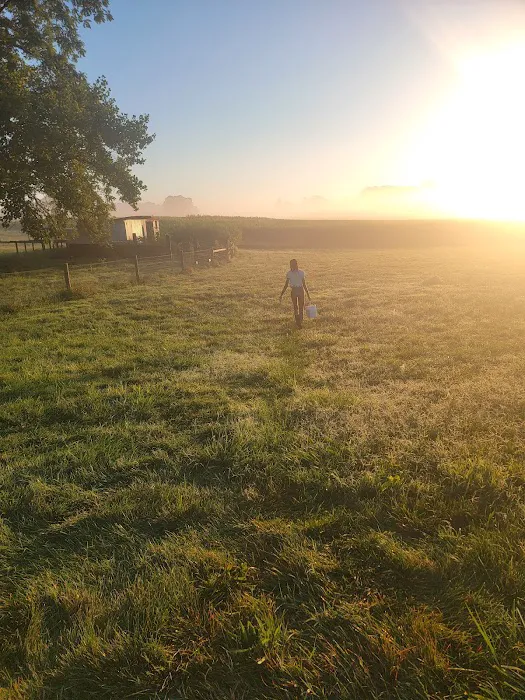 Full Life Journey Farm 5