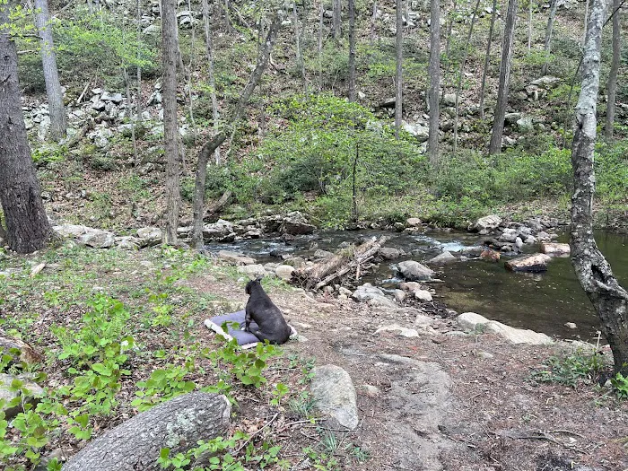 Two Hatchets Camp Site 7