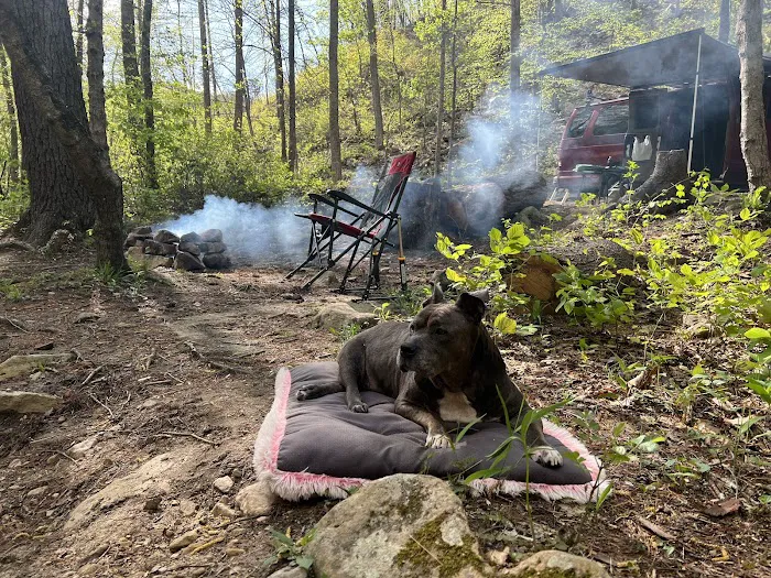 Two Hatchets Camp Site 8