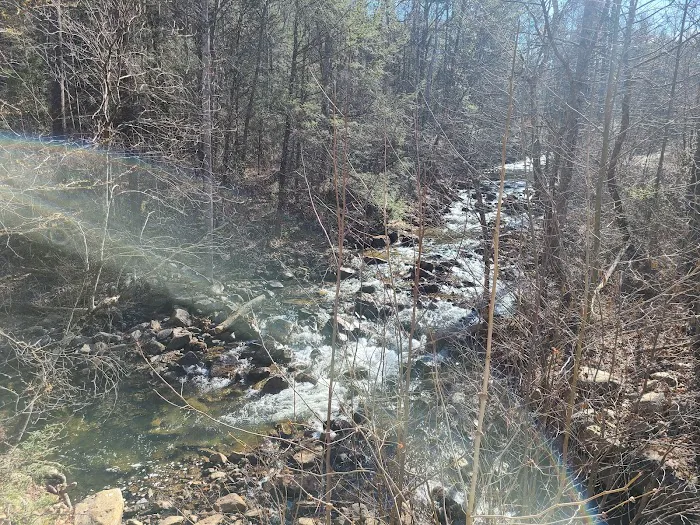 Raccoon Canyon 1