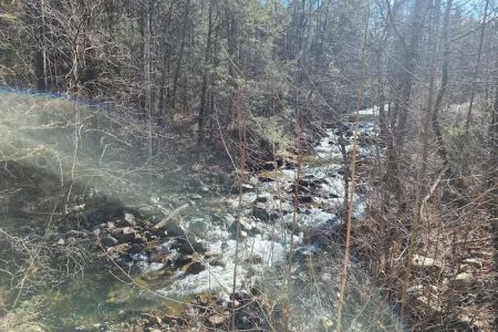 Raccoon Canyon