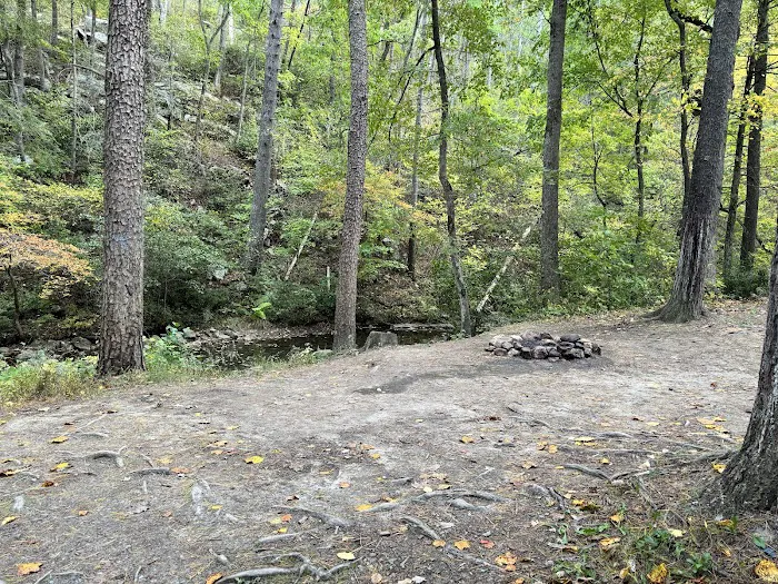 Raccoon Canyon 3