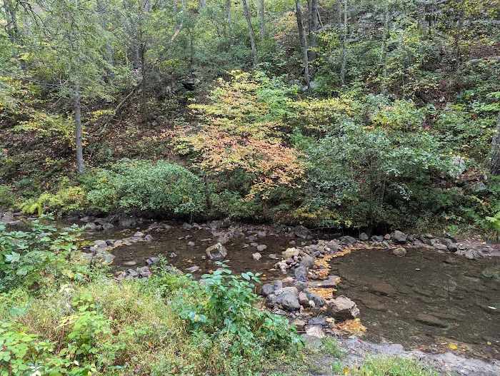 Raccoon Canyon 7