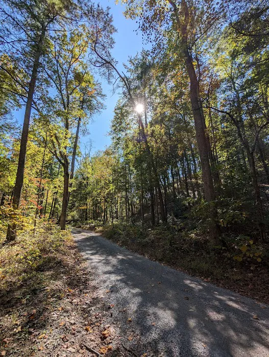 Raccoon Canyon 8